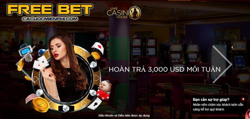 Người dùng cần chú ý điều gì khi đăng nhập vào 123Win? - 123Win