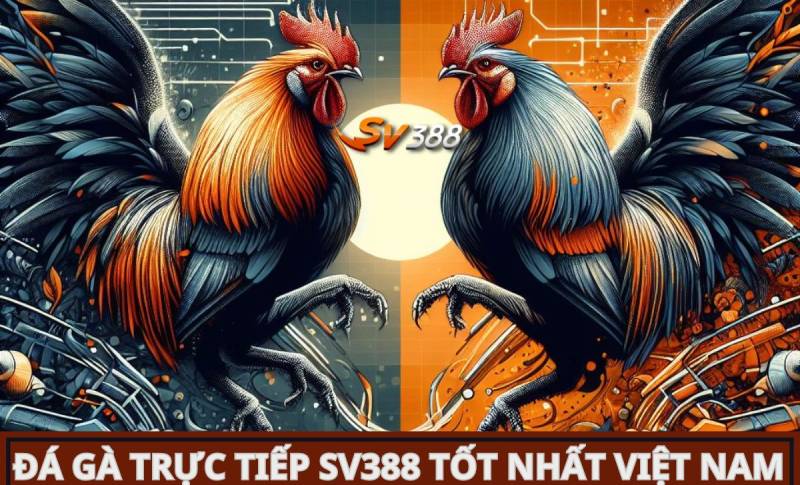 Hé lộ bí quyết để nhanh chóng đạt điểm Xs88 - Xs88