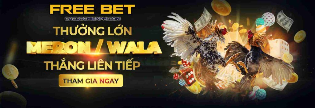 Thưởng thức các trò chơi trực tuyến đạt chuẩn Stake trên điện thoại di động của bạn - Stake