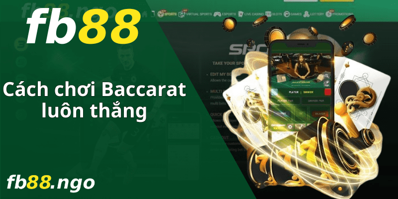 Tổng quan về trò chơi thẻ bài Kubet77 - Kubet77