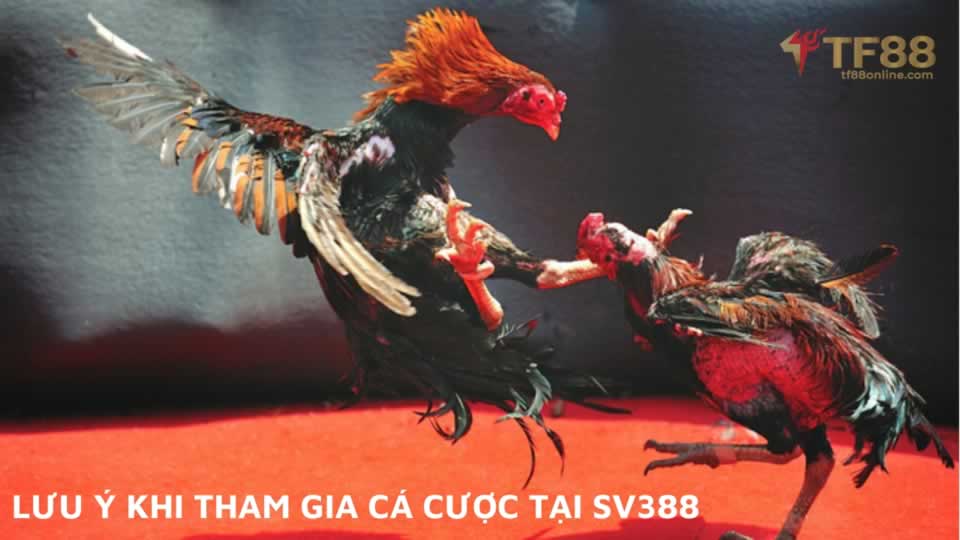 Tại sao xổ số 58Win lại hấp dẫn đến vậy? - 58Win