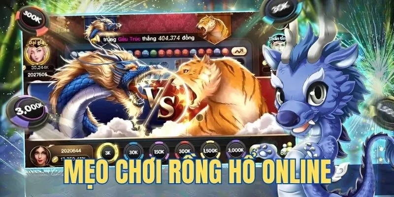 Cách đặt cược kép chính xác tại một công ty cá cược được xếp hạng Xso99 - Xso99