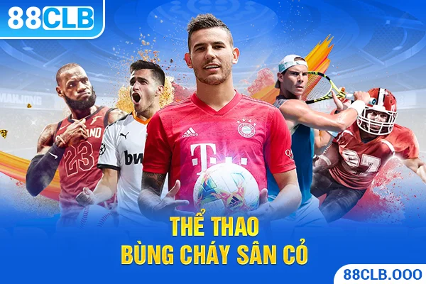 Ưu đãi độc quyền dành cho VIP hạng Bongdalu – So sánh đầy đủ từng cấp bậc (2026) - Bongdalu