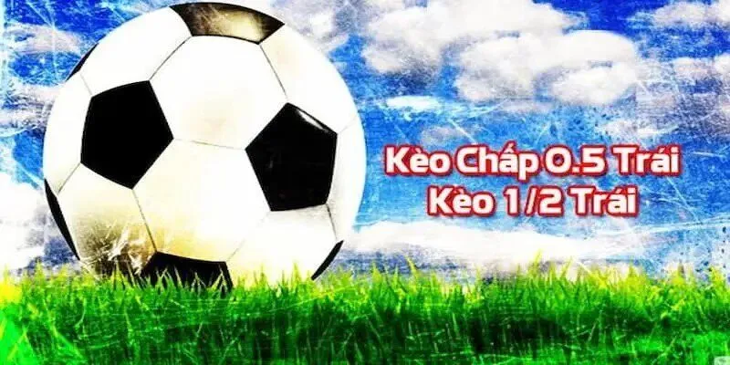 Lần cuối Pk88 được ghé thăm là khi nào? - Pk88