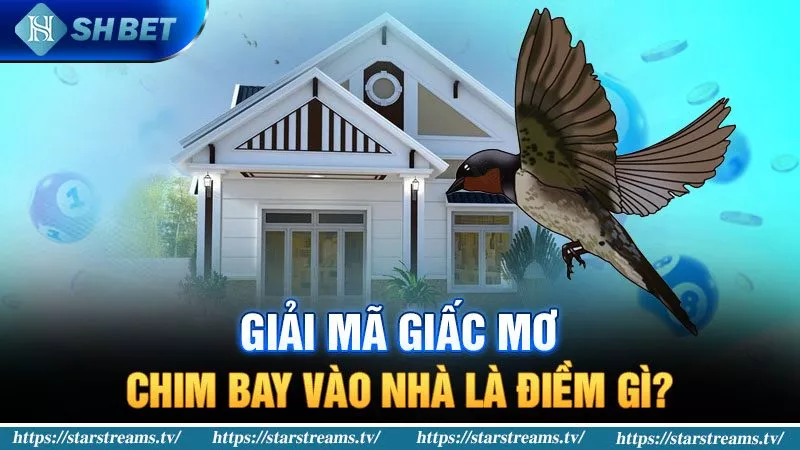 Những ưu điểm vượt trội của trang web cổng game 79Win - 79Win