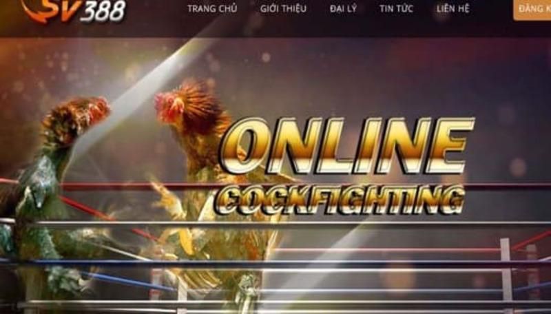 Tổng quan cơ bản về Ffok - Ffok