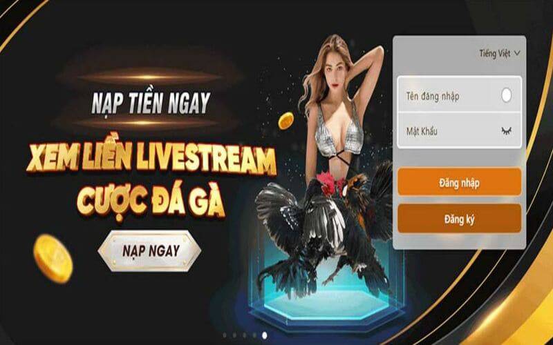 Các sự kiện thể thao cấp Fb68 tràn đầy sức sống - Fb68