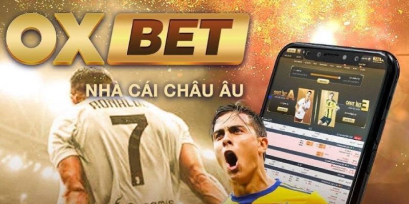 Hướng dẫn tìm kiếm cạnh tranh nâng cao Mocbai - Câu hỏi thường gặp - Mocbai