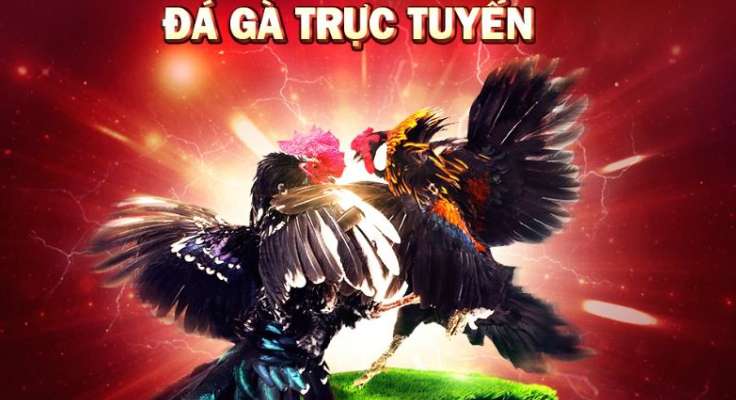 Qh88 có một số hoạt động quảng bá khá thú vị - Qh88