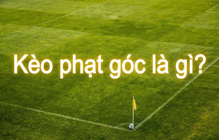 Ứng dụng trò chơi Ok33 - Ok33
